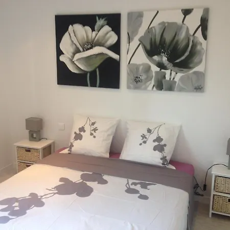 Apartment Location Corsica *