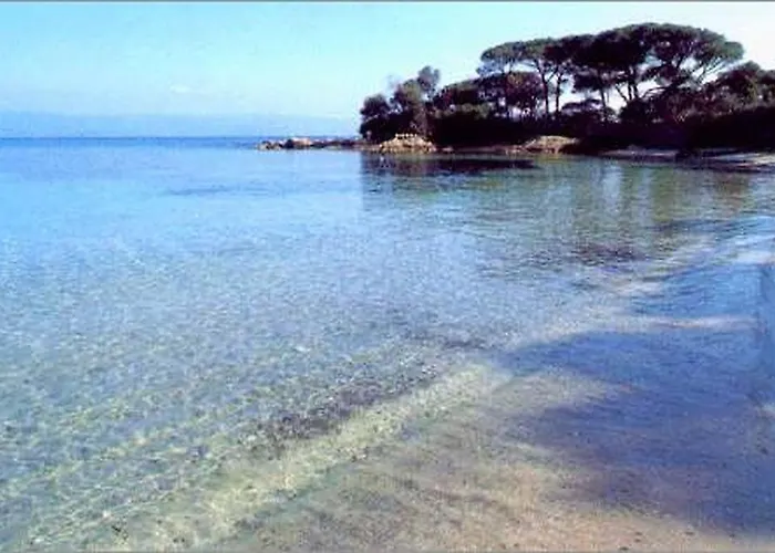 Location Corsica شقة أجاكسيو