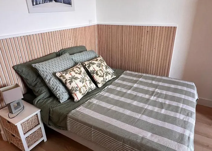 Location Corsica Apartment